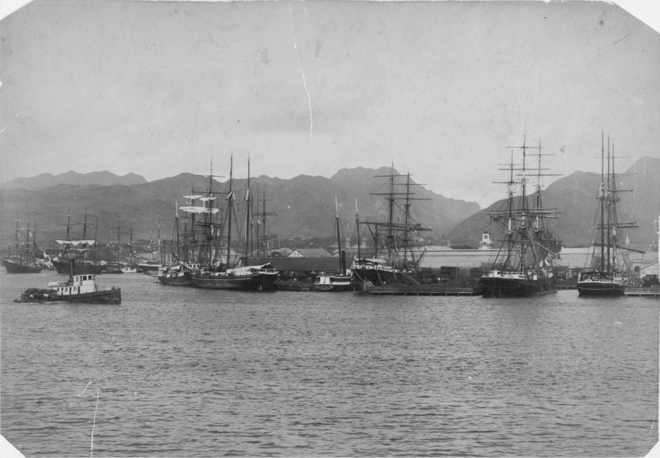 Falls of Clyde – January 2017 Update