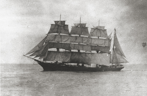 Falls of Clyde – March 2017 Update