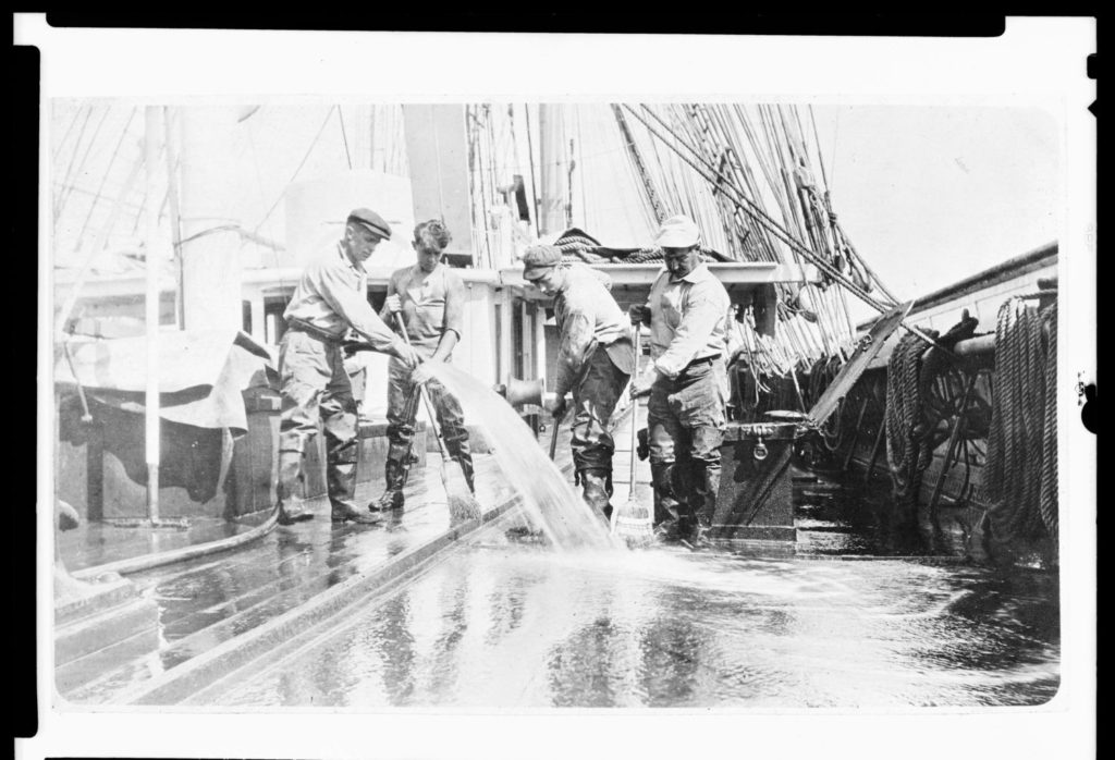 Falls of Clyde – May 2017 Update