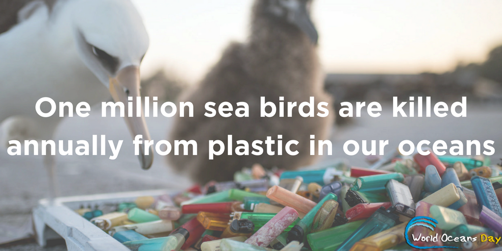 World Oceans Day 2017