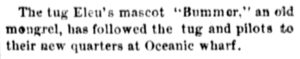 Tug Mascot “Bummer”